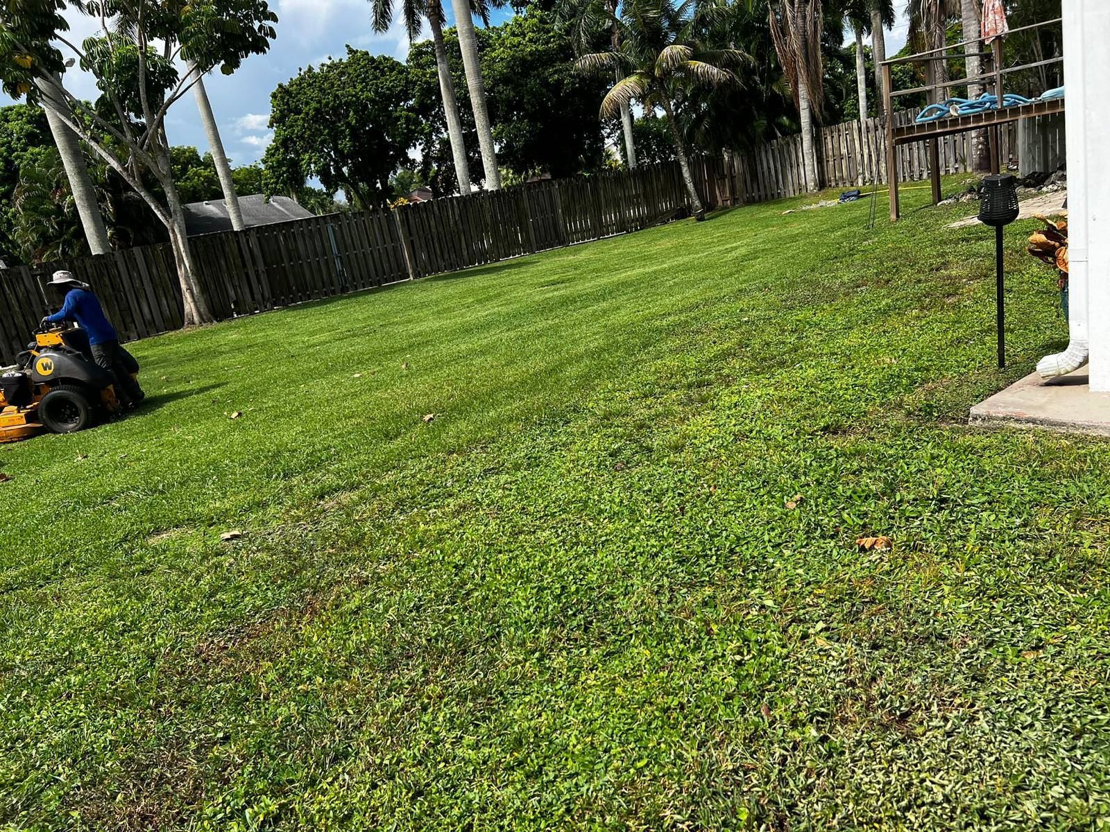 recently trimmed and lush grass
