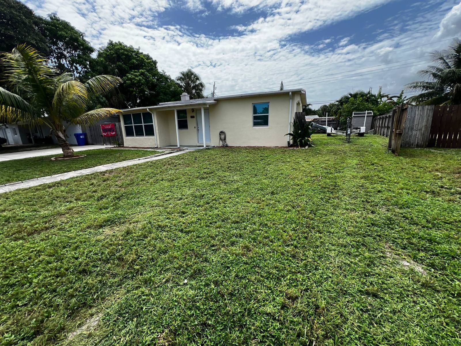 trimmed and healthy grass 