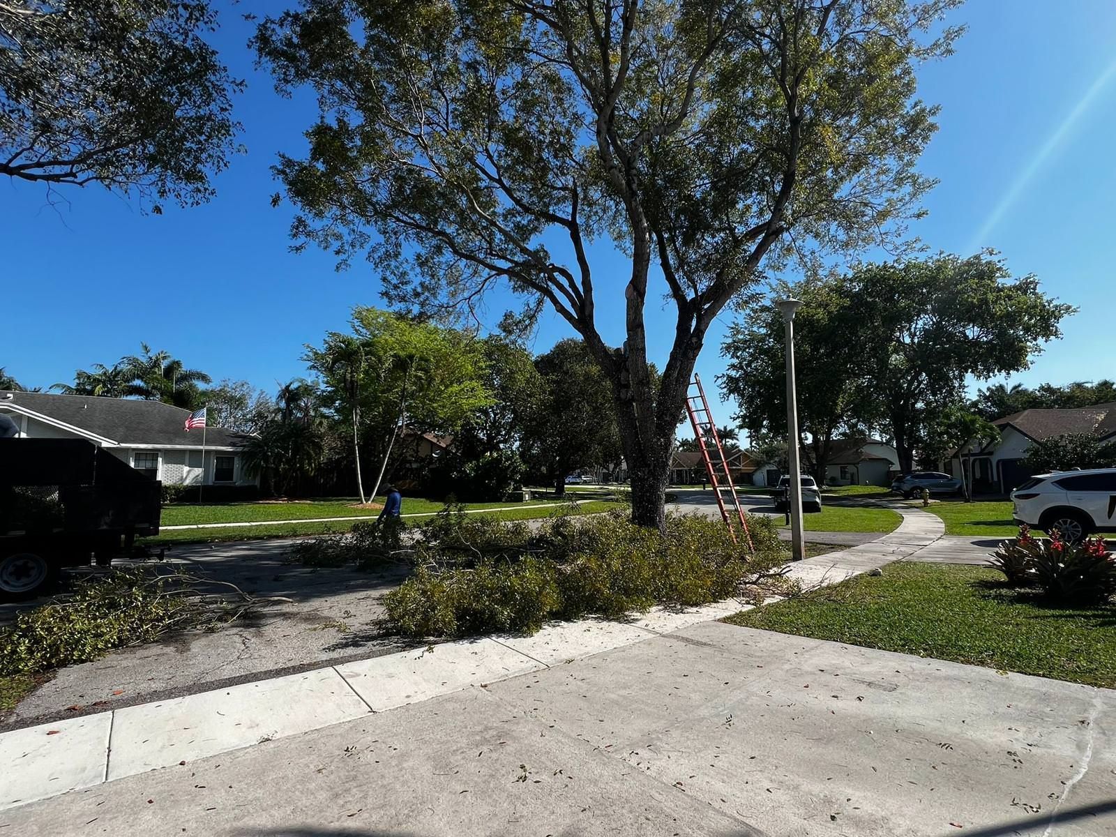 yard work in home's driveway 