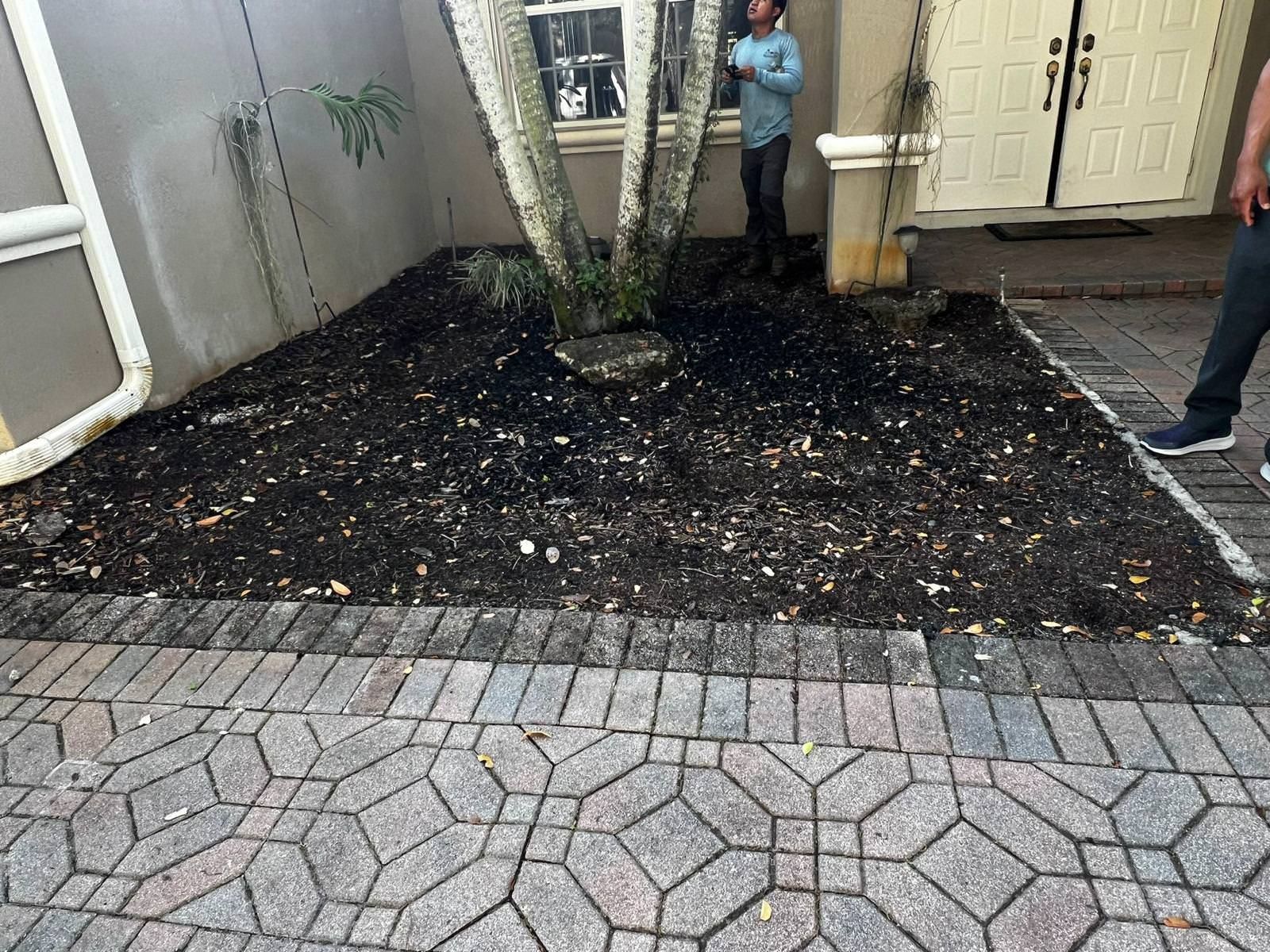 fertilization and planting 