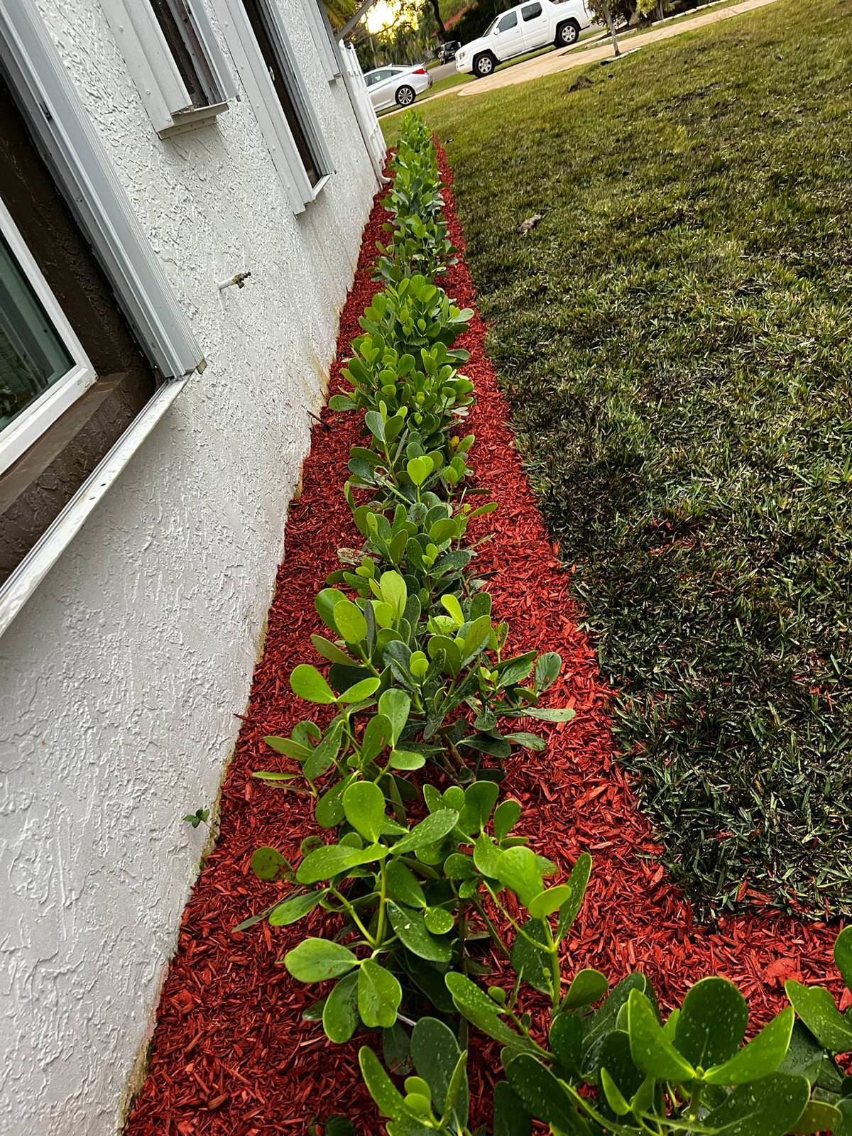 beautiful plants growing next to a house with red mulch.