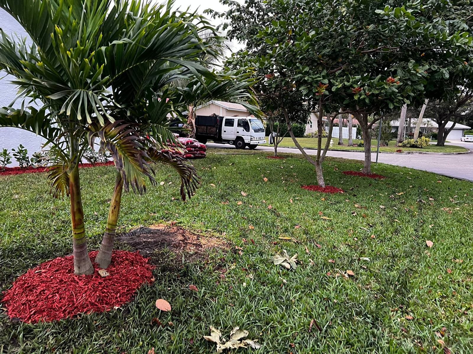 colorful yard for residential project