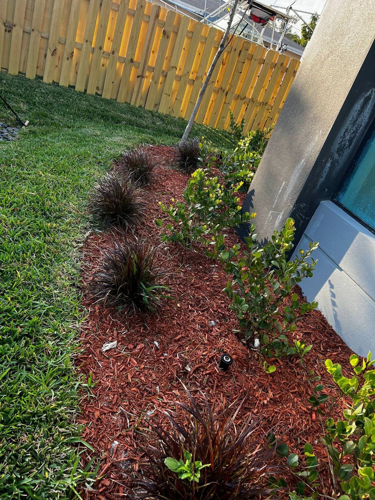 tropical plants growing in home 