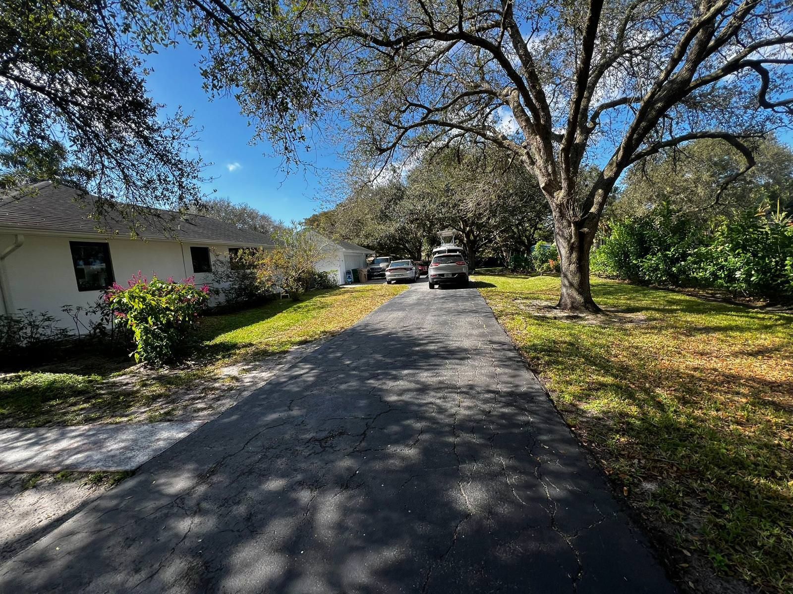 lush tropical garden 