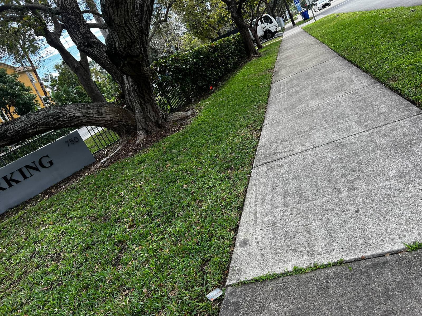 A sidewalk with grass and trees on the side of it.