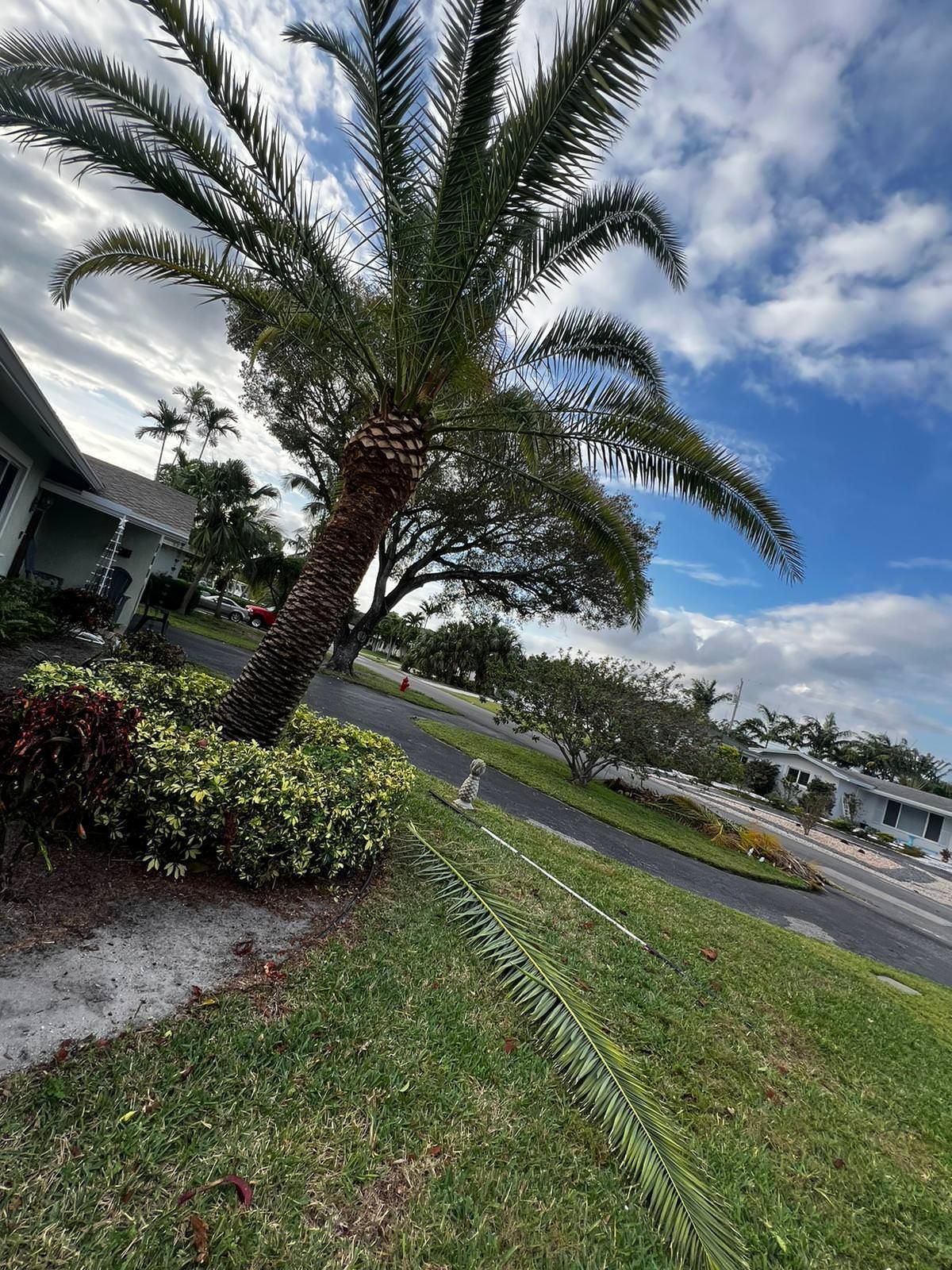 green garden for residential project