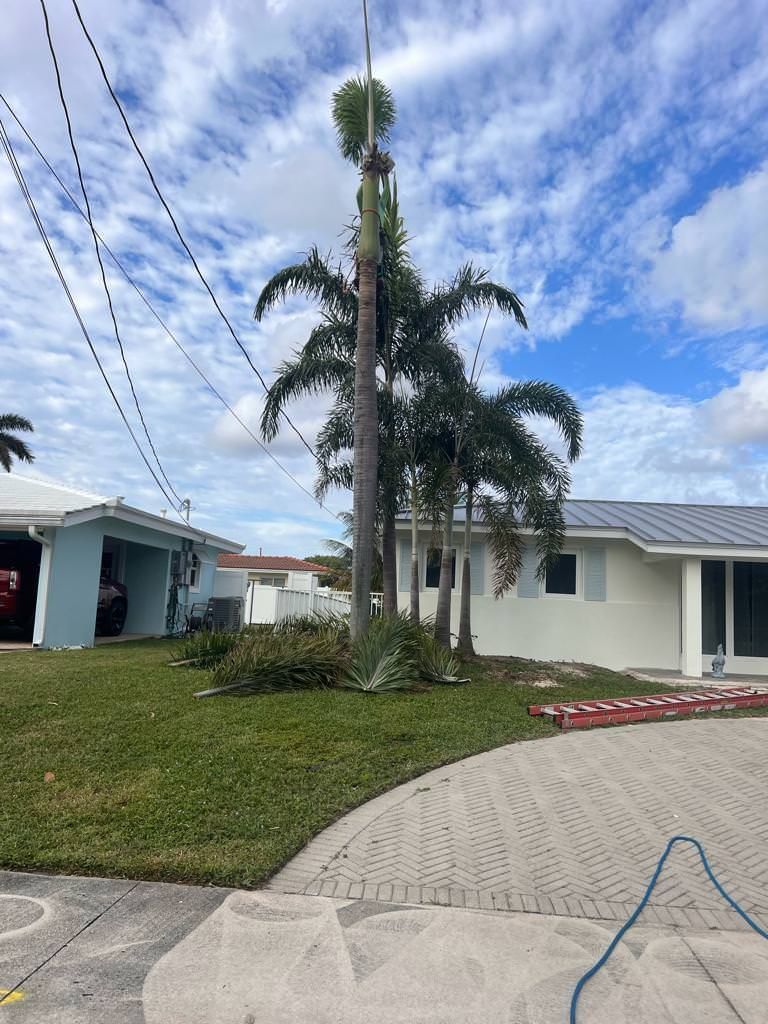 residential garden design