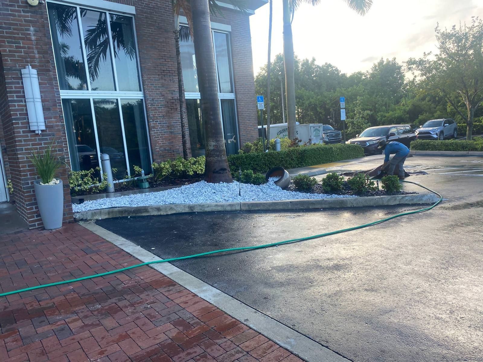 Professional planting flowers