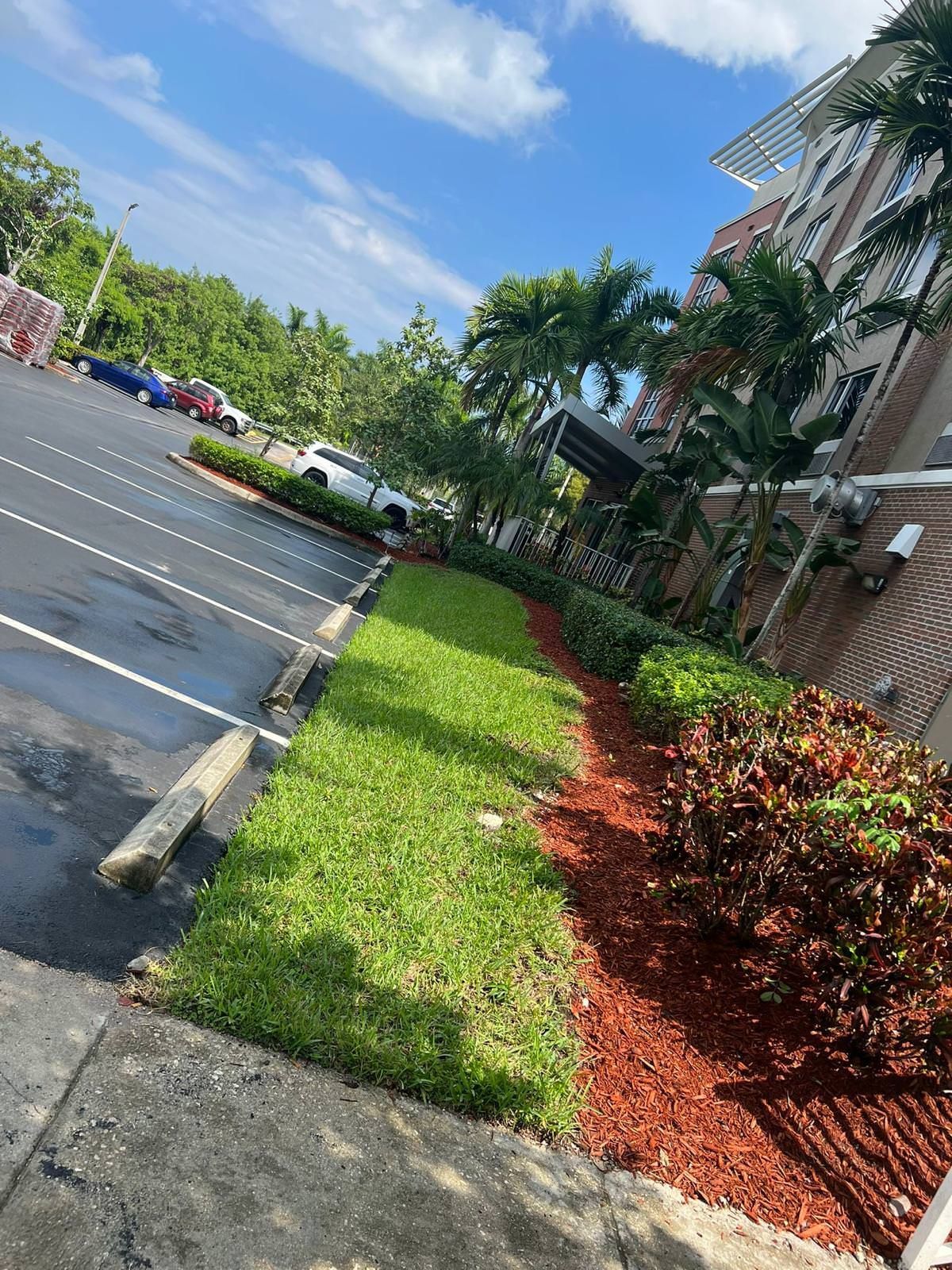 A parking lot with a lush green lawn.