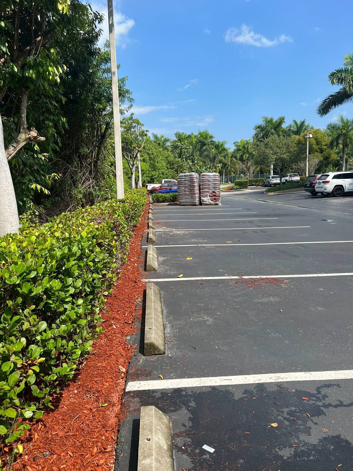 A parking lot with beautiful landscaping work