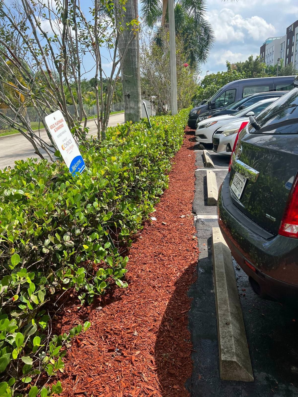 parking lot with lush vegetation 