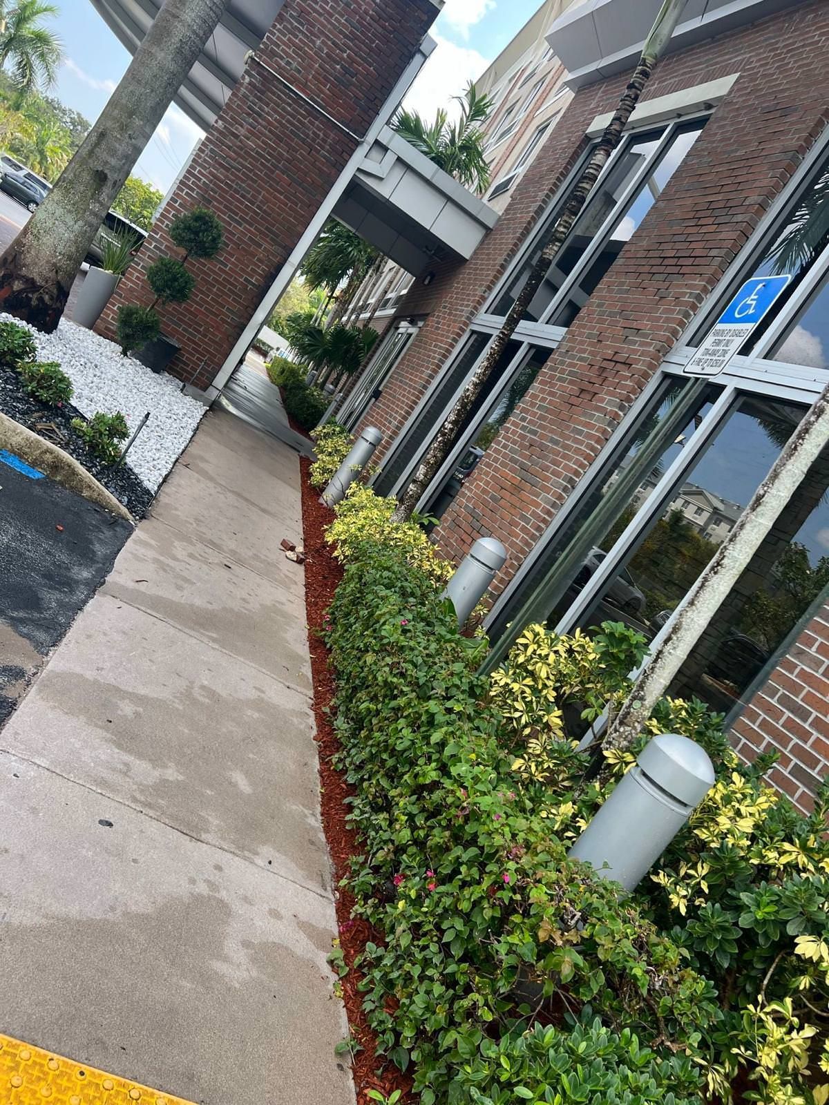 A sidewalk filled with greenery