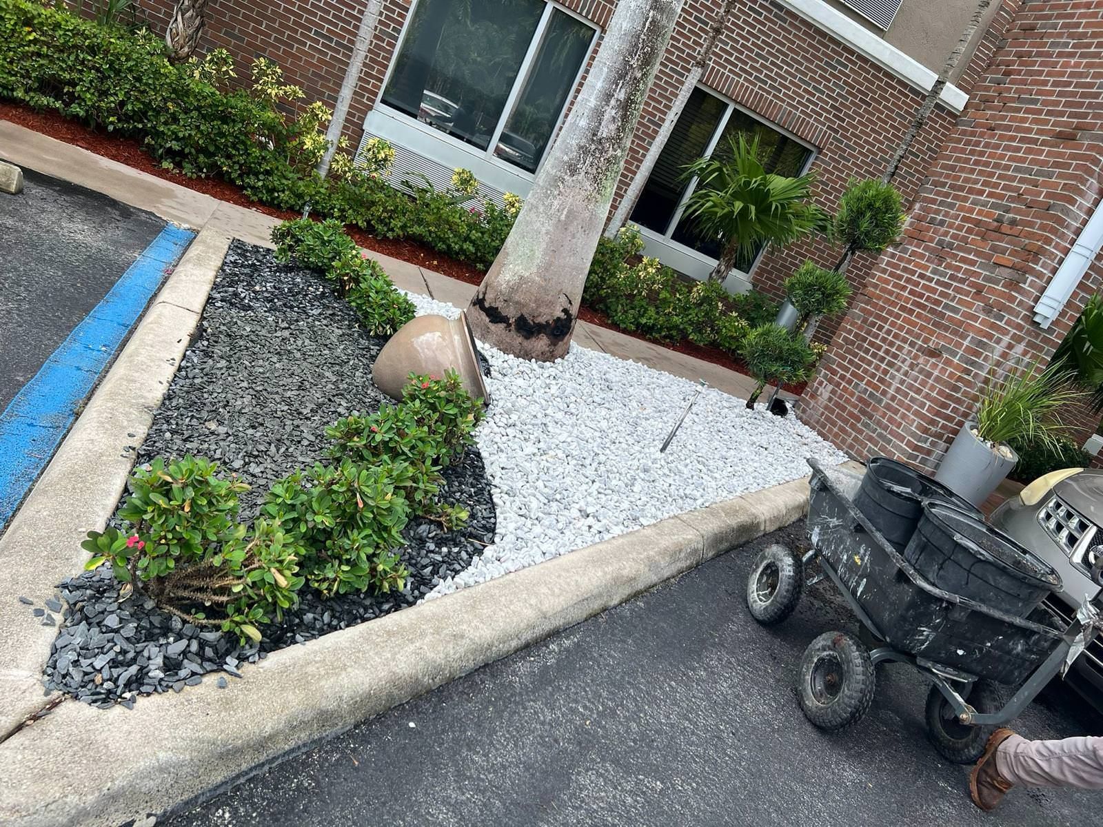 beautiful stones and flowers 