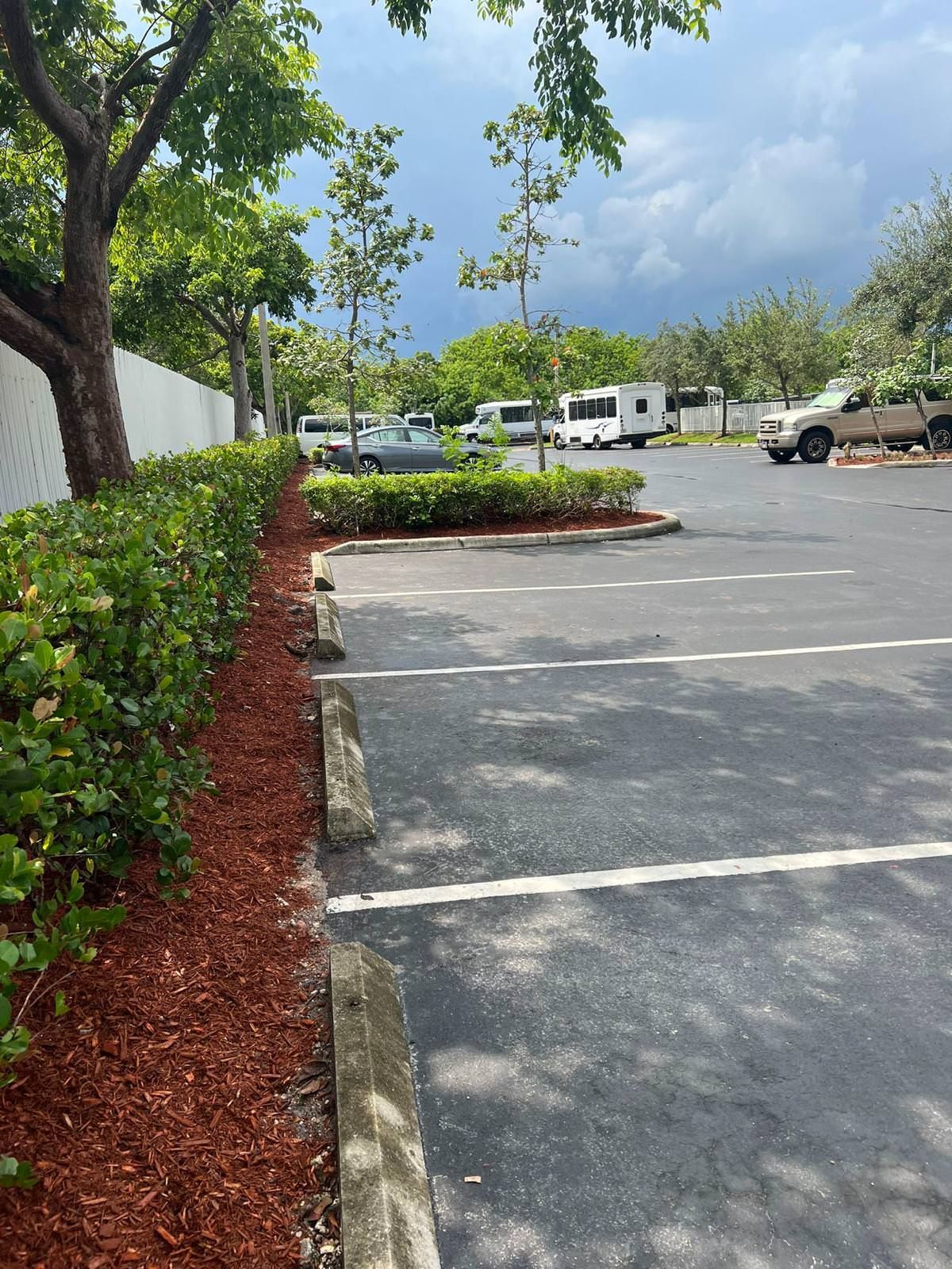 landscape around parking lot
