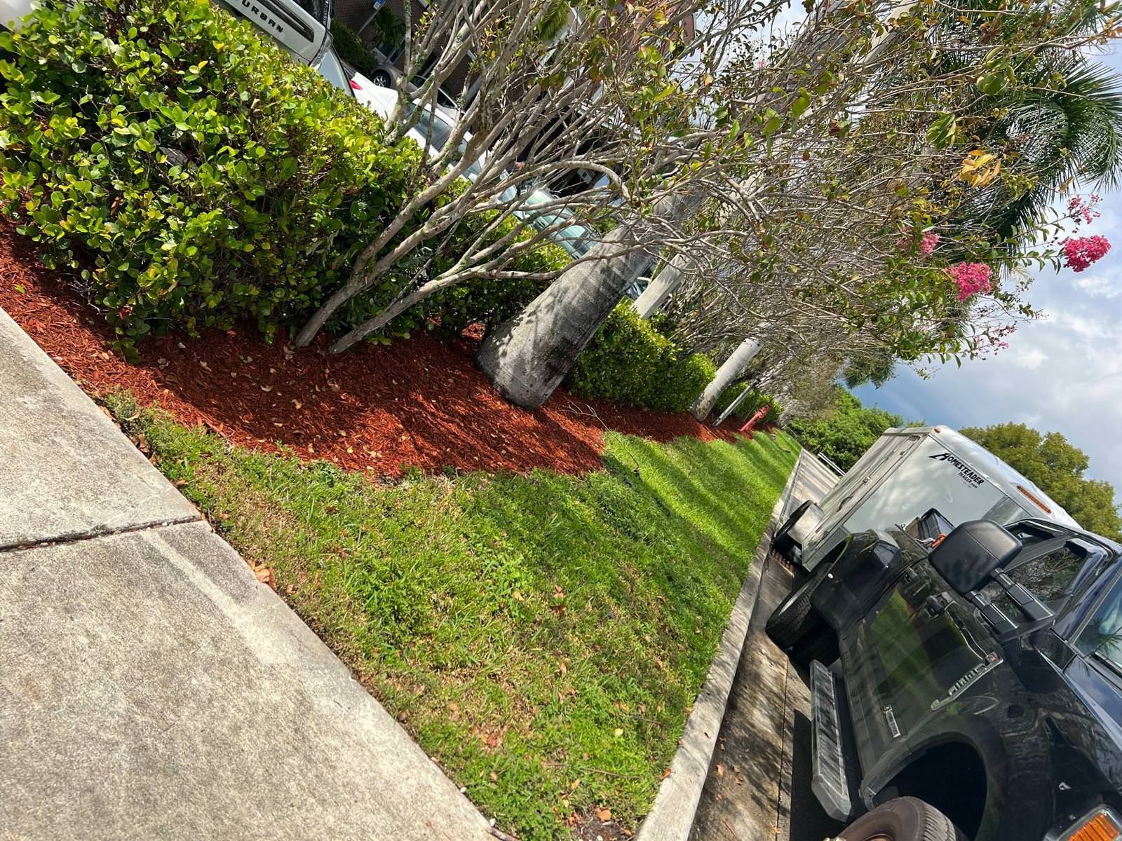 A large lush green field with flowers and palm trees