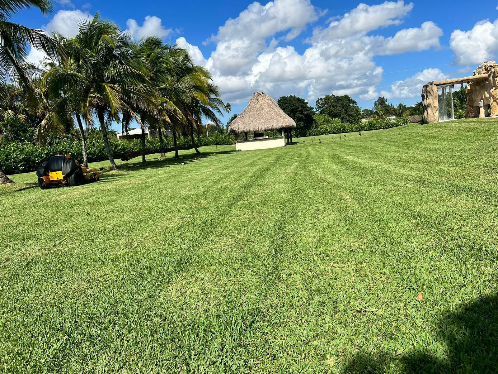 A large lush green field 