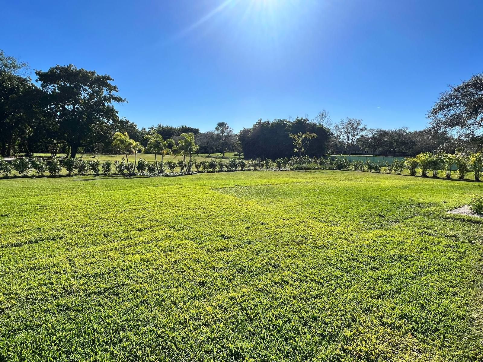 A lush green field with trees in the background on a sunny day