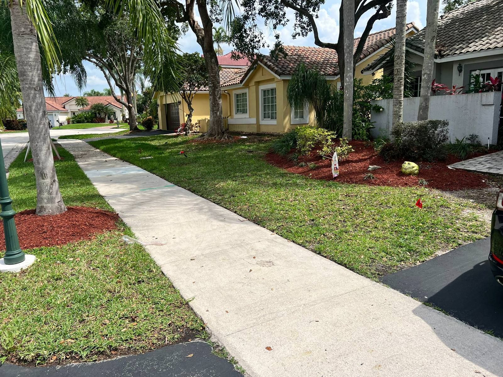 lush garden in residential neighborhood