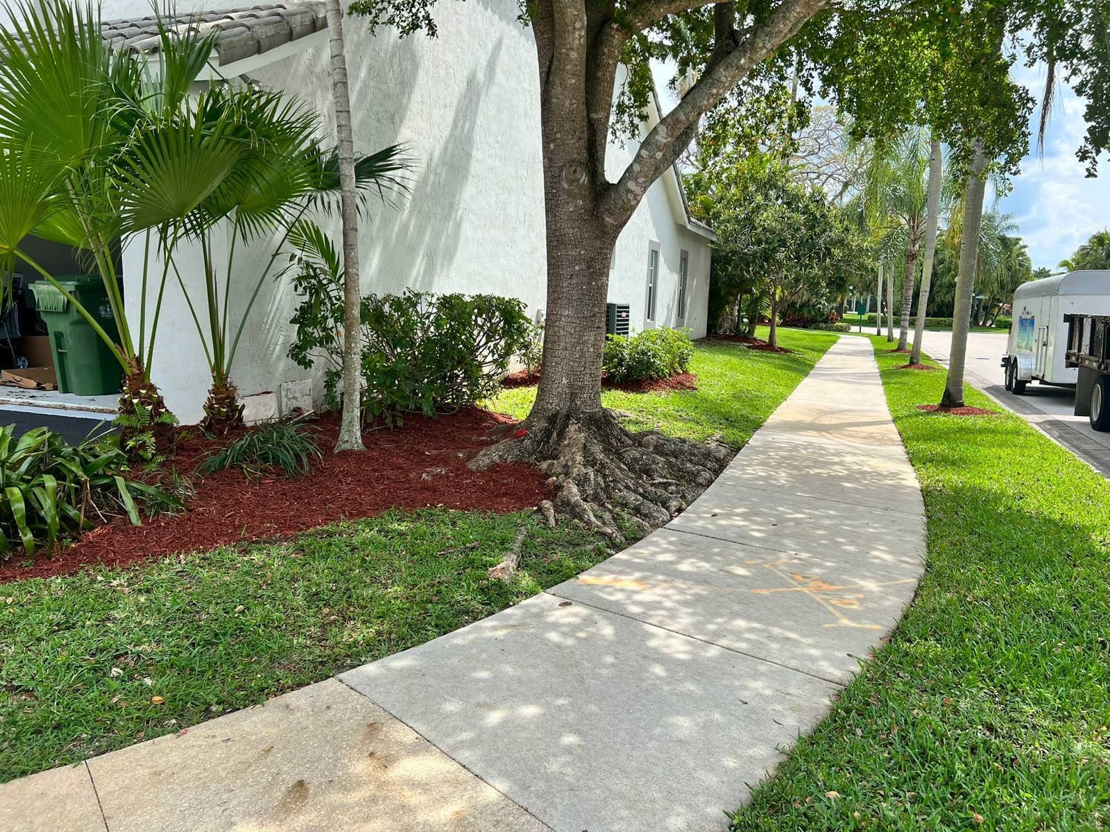 A sidewalk surrounded with green landscape
