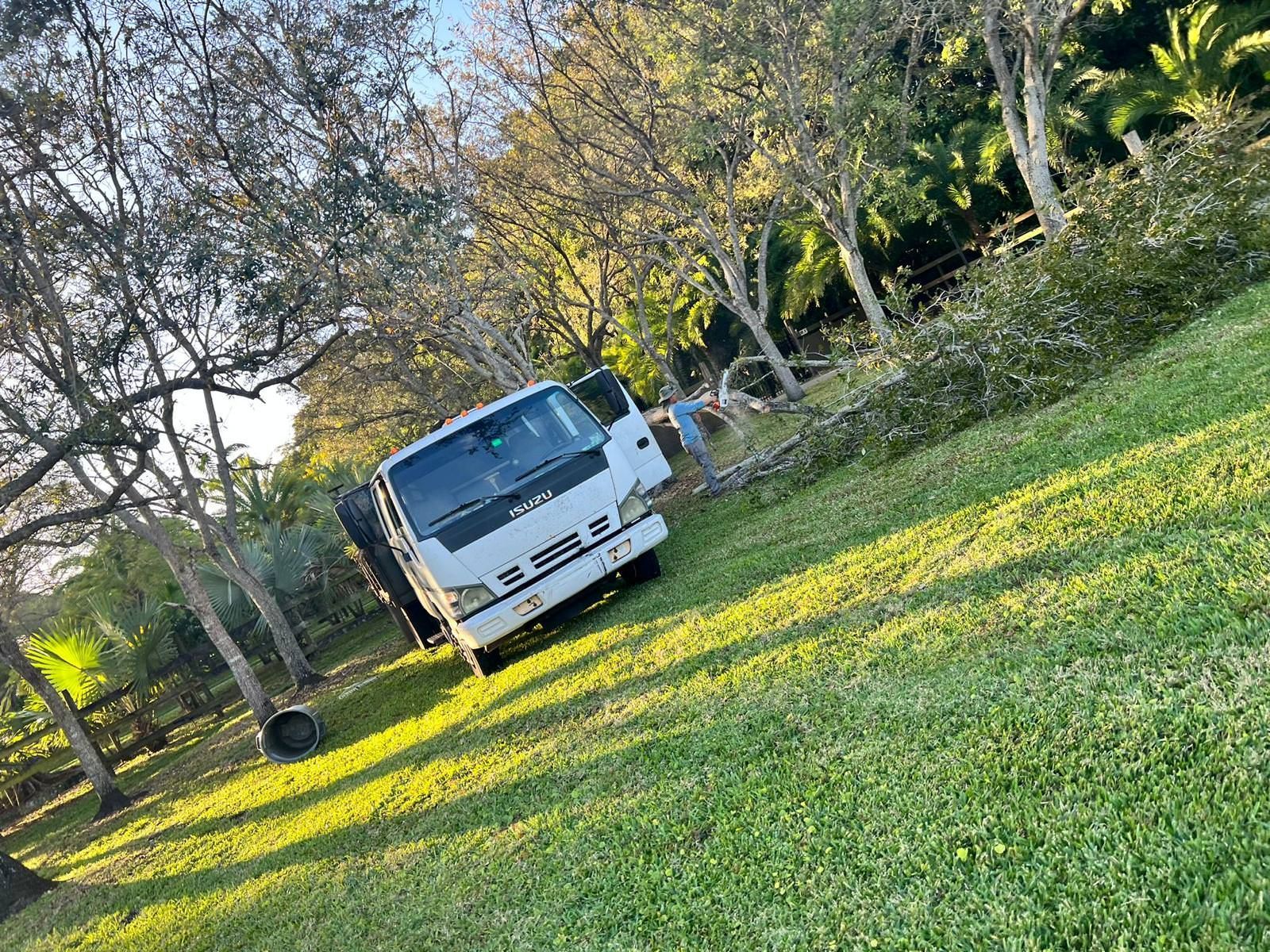 green and lush field 