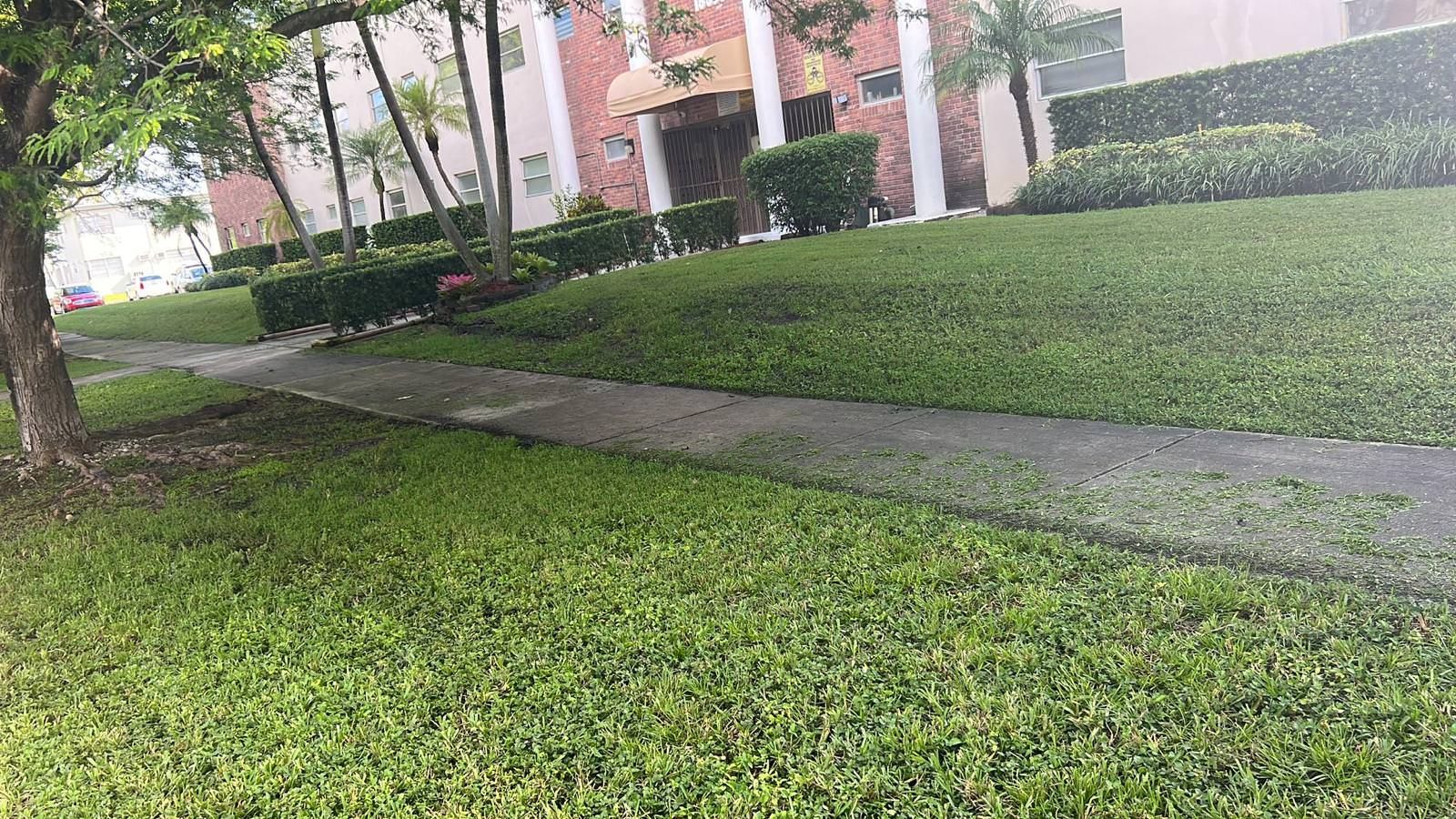 A lush green lawn with a sidewalk in front of a building.