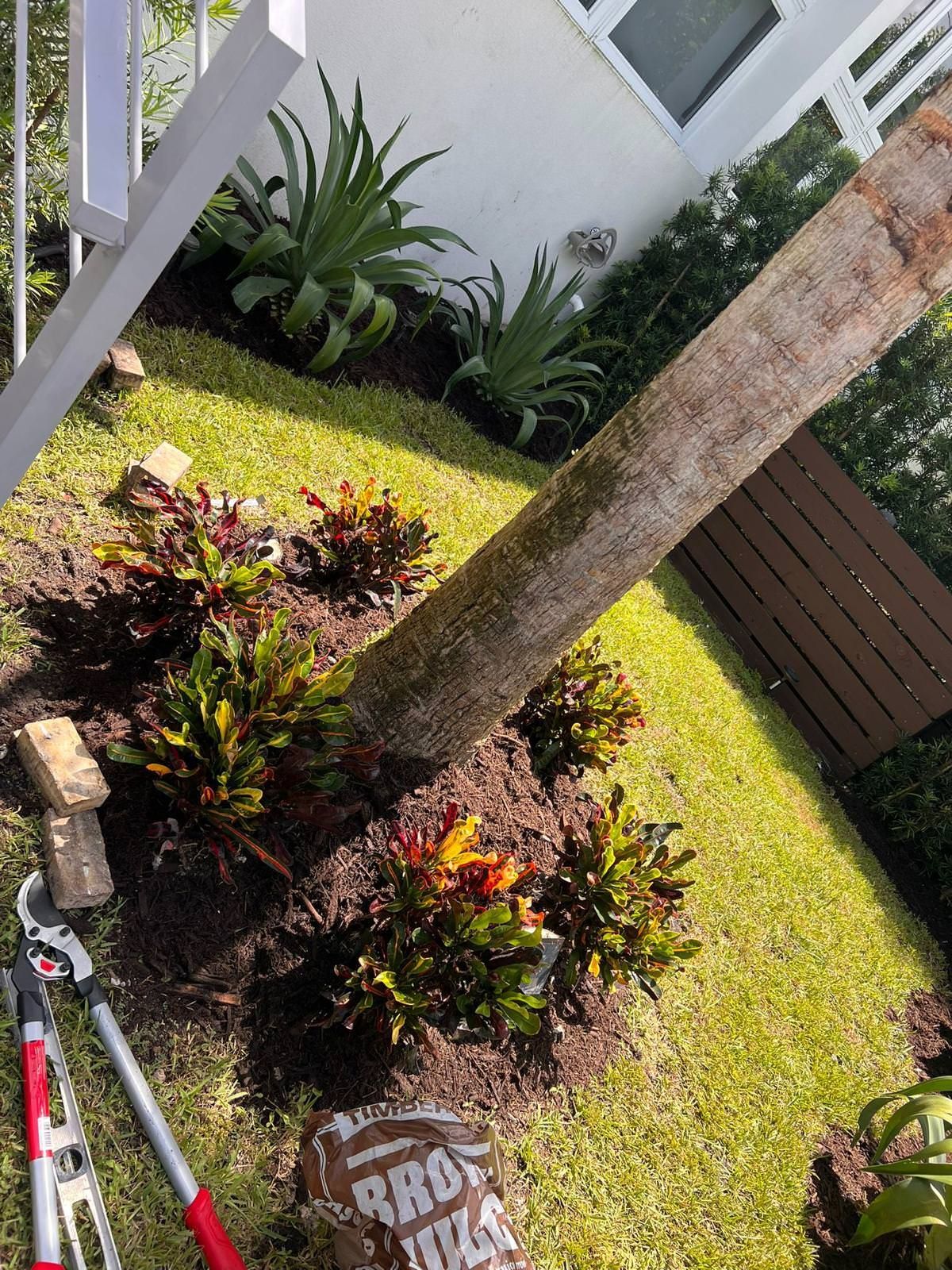 tree planting services