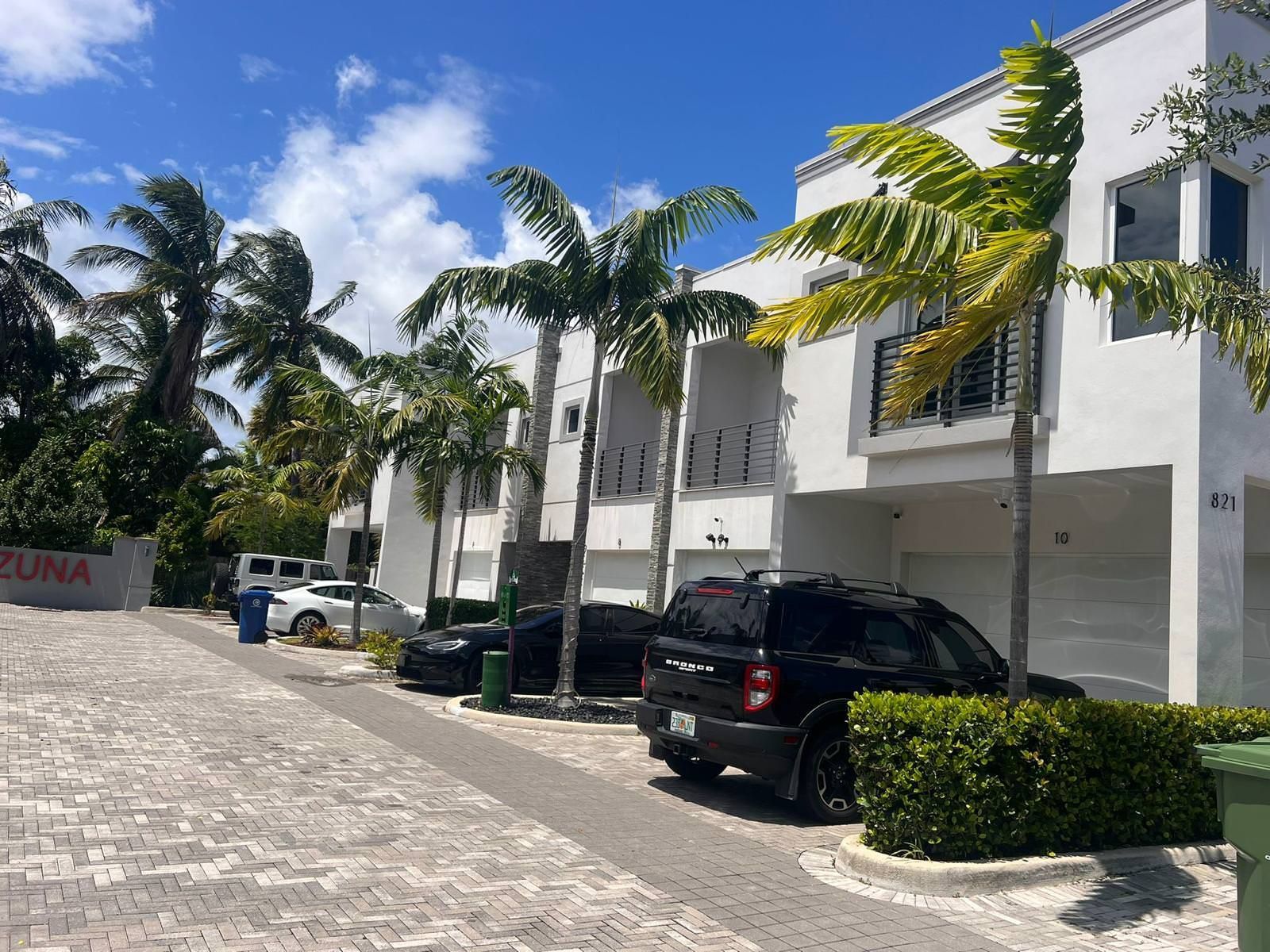 palm trees in apartment complex