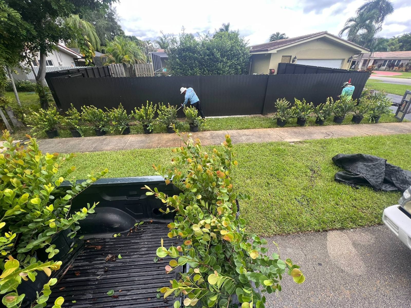 plants around a fence 