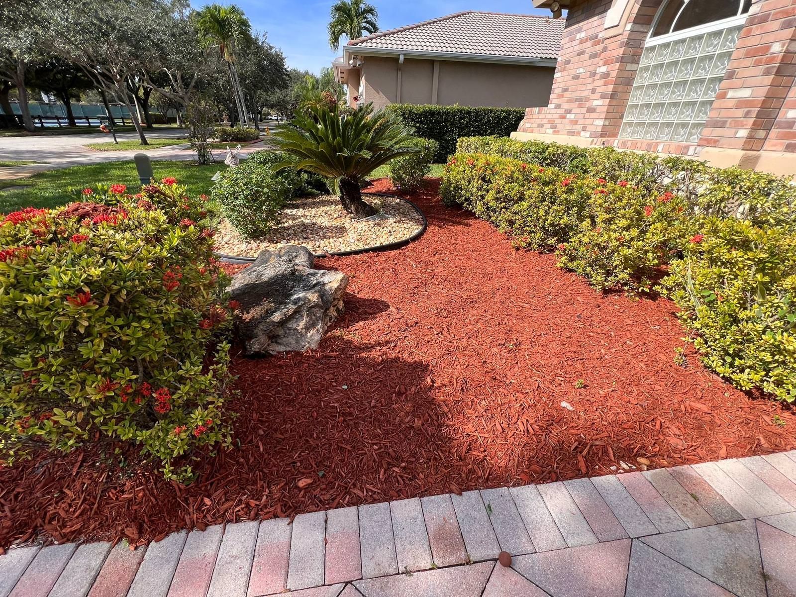 residential garden with tropical vegetation