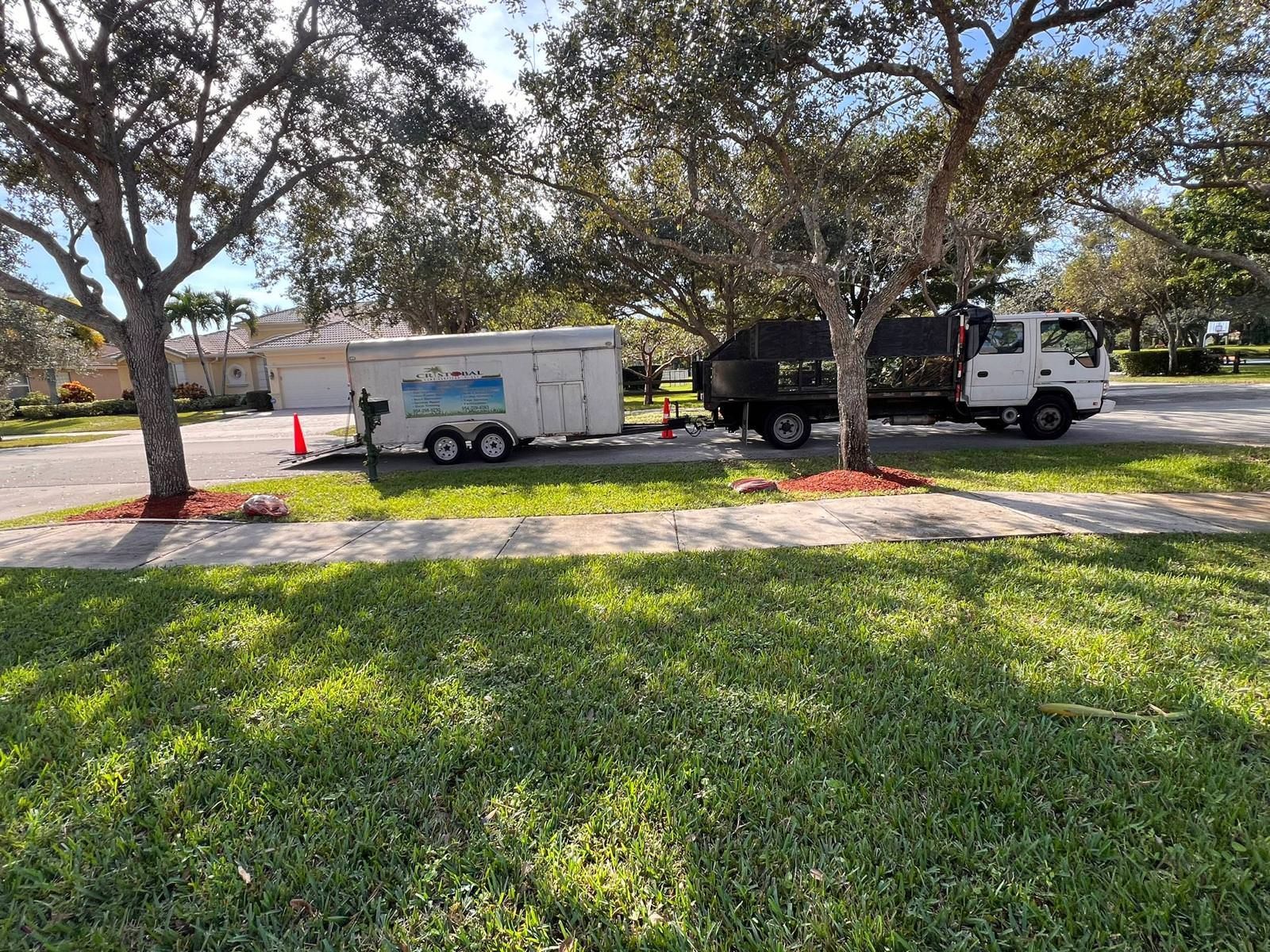 professionals doing lawn services