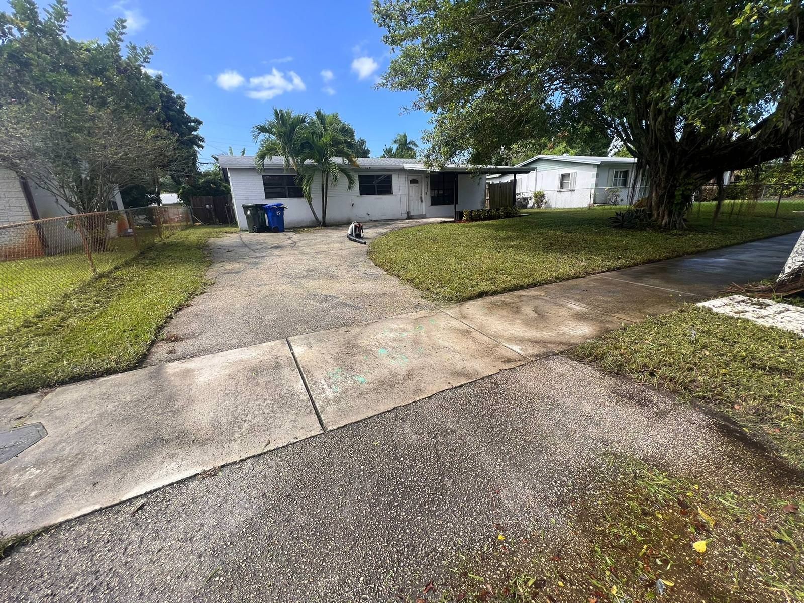 green large tree, trimmed landscape and concrete driveway