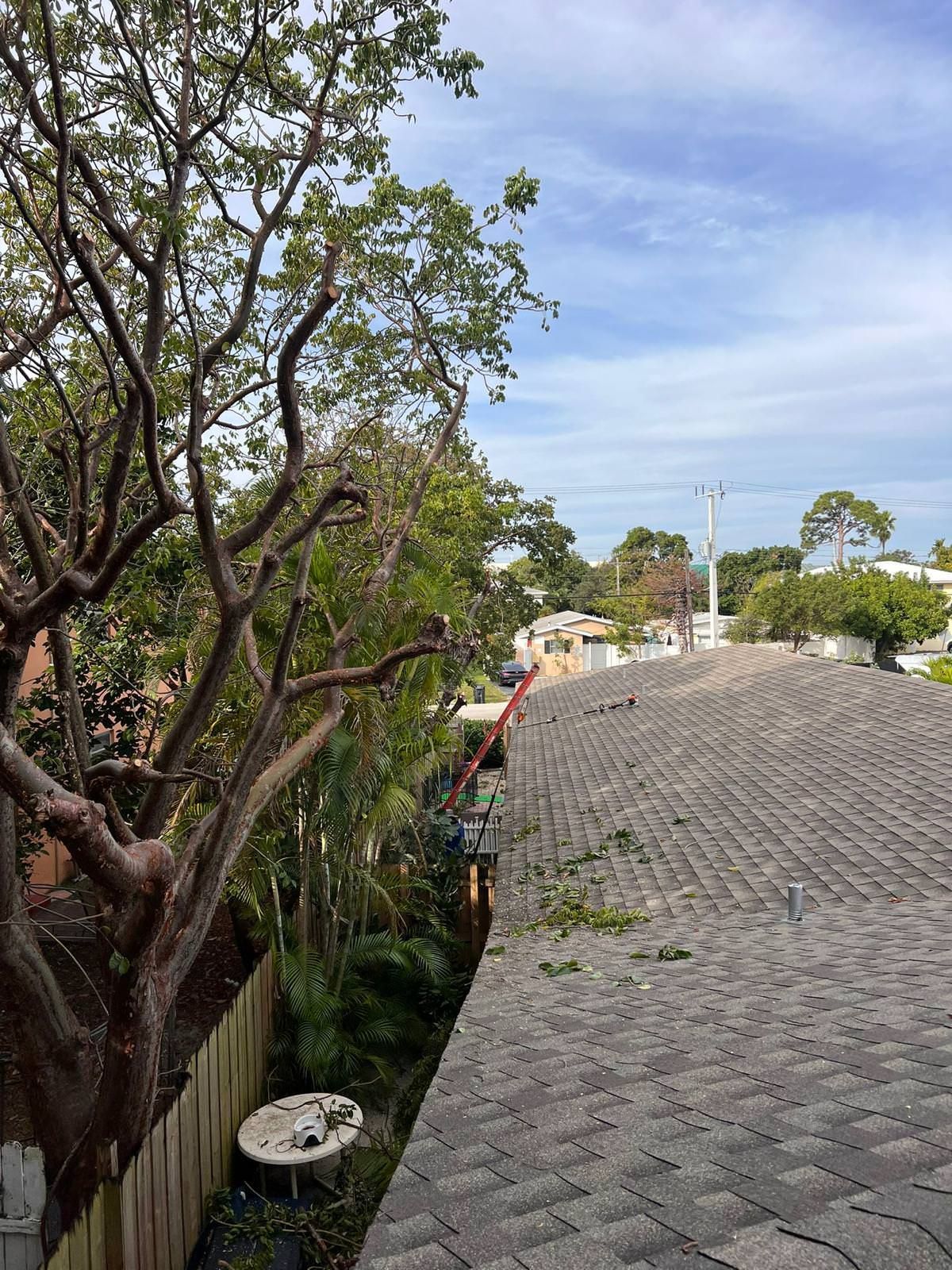 Tree trimming for residential property