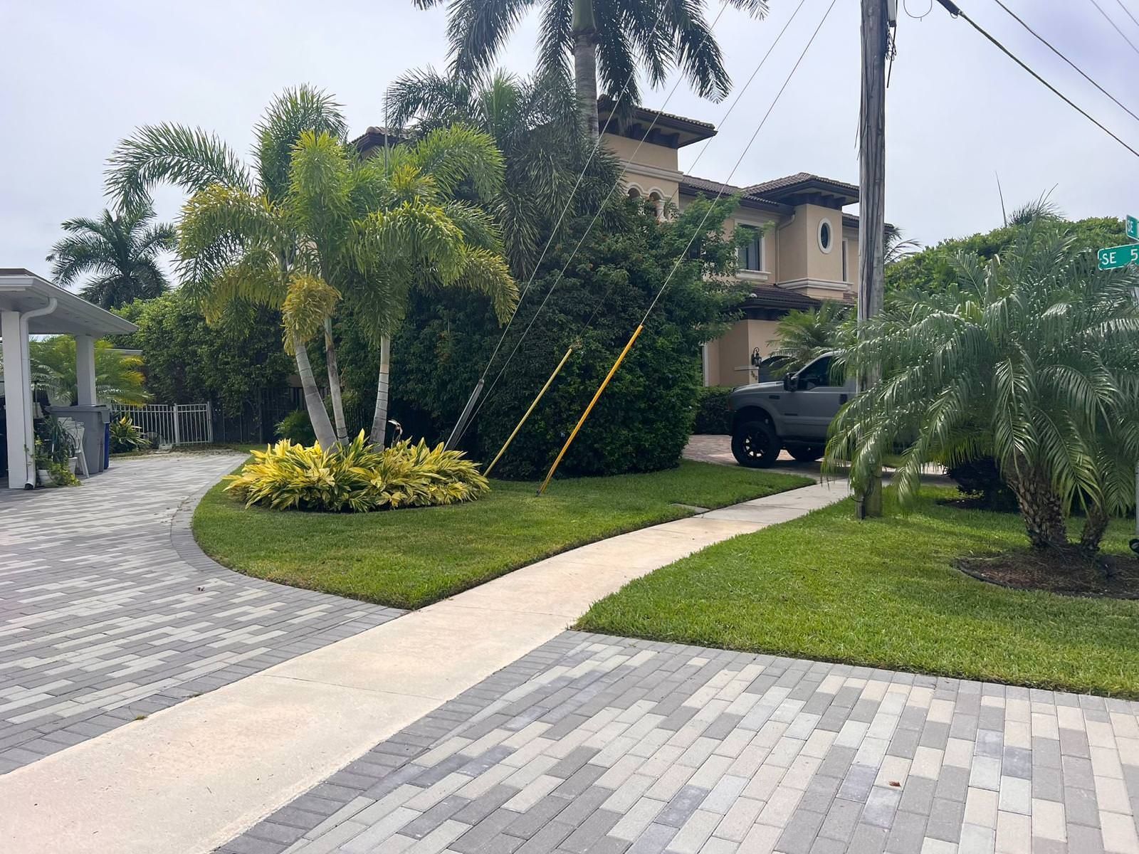 palm trees and lush landscape