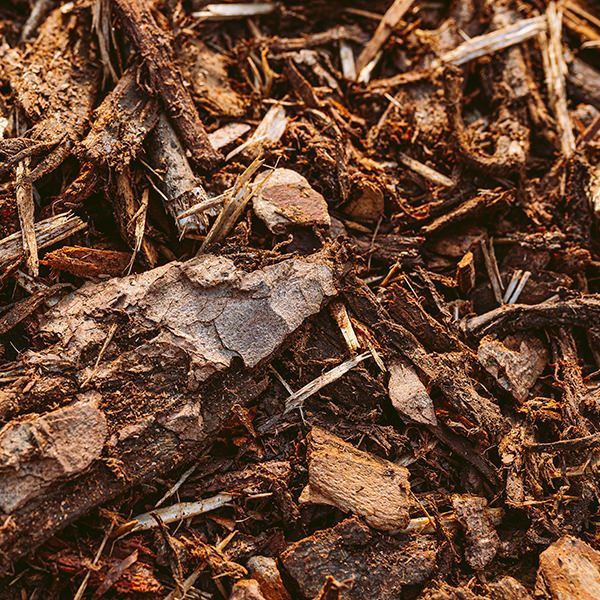 Stump grinding and landscaping