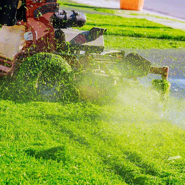 Professional mowing a lush green lawn with a lawn mower.