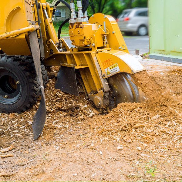 A yellow stump grinder is cutting a tree stump in the ground.