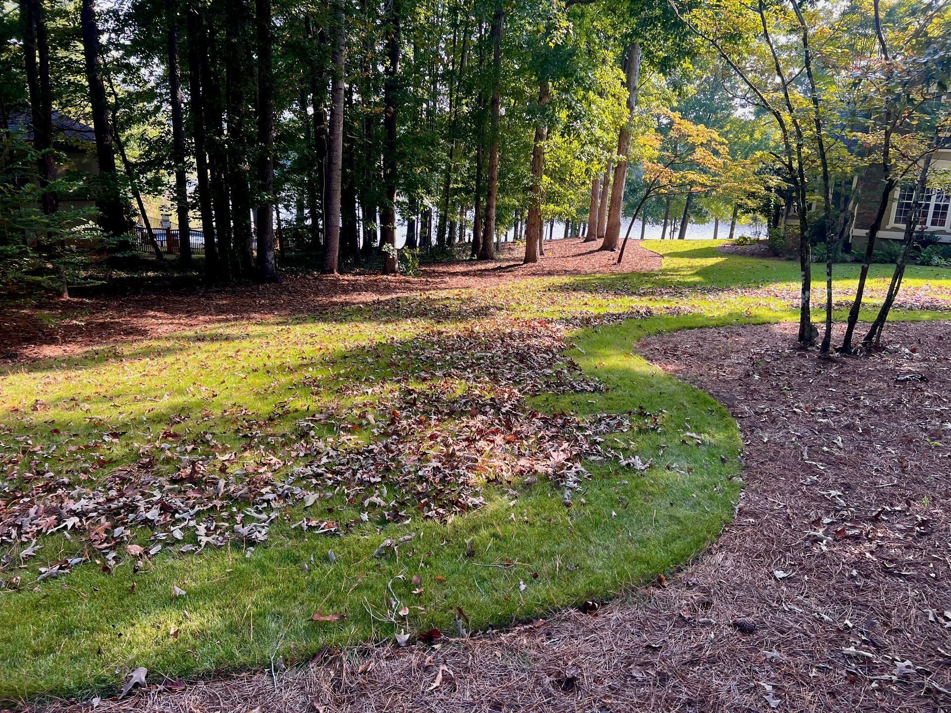 Curved gravel path through a wooded park with green grass and fallen leaves in sunlight
