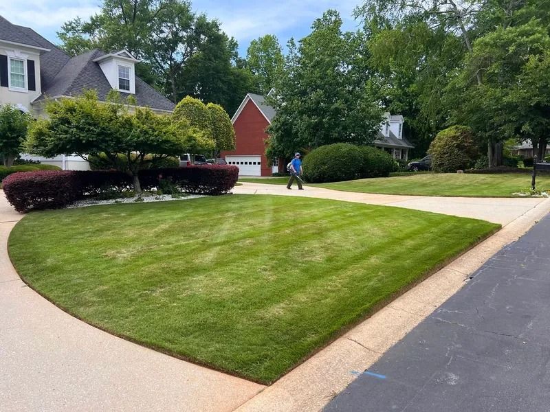 Suburban street with manicured lawns, houses, and a person walking on the sidewalk