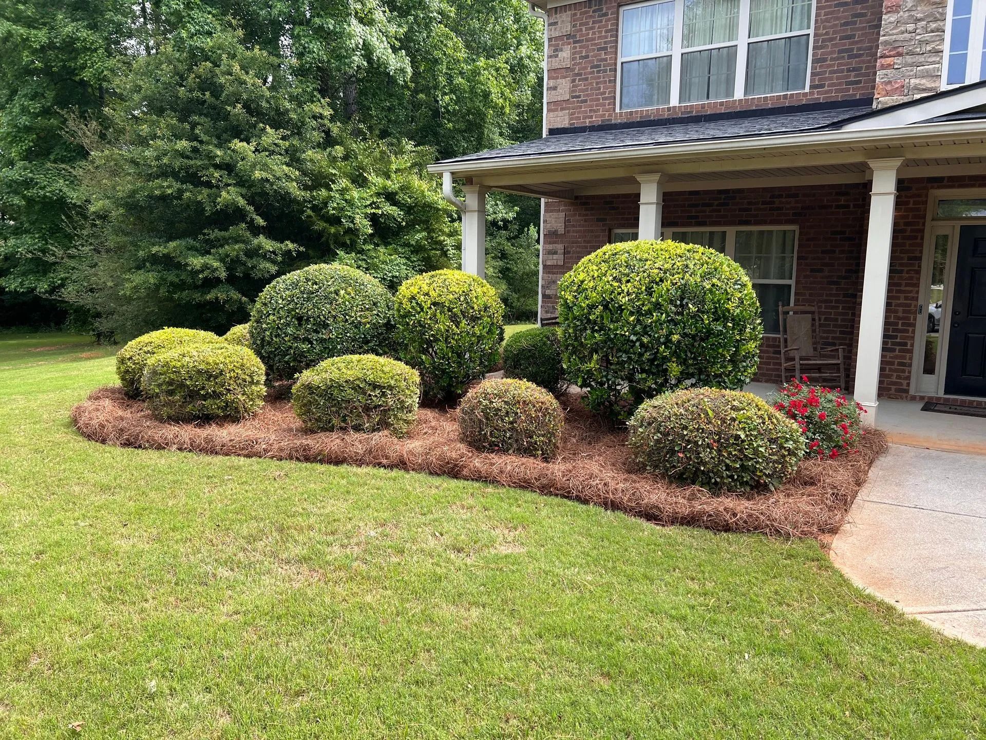 Front yard landscaping with neatly trimmed green shrubs and red mulch beside a brick house porch