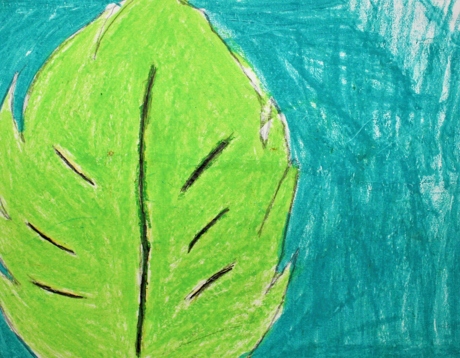 2022 Art Show Winner - Leaf in Deering Oaks