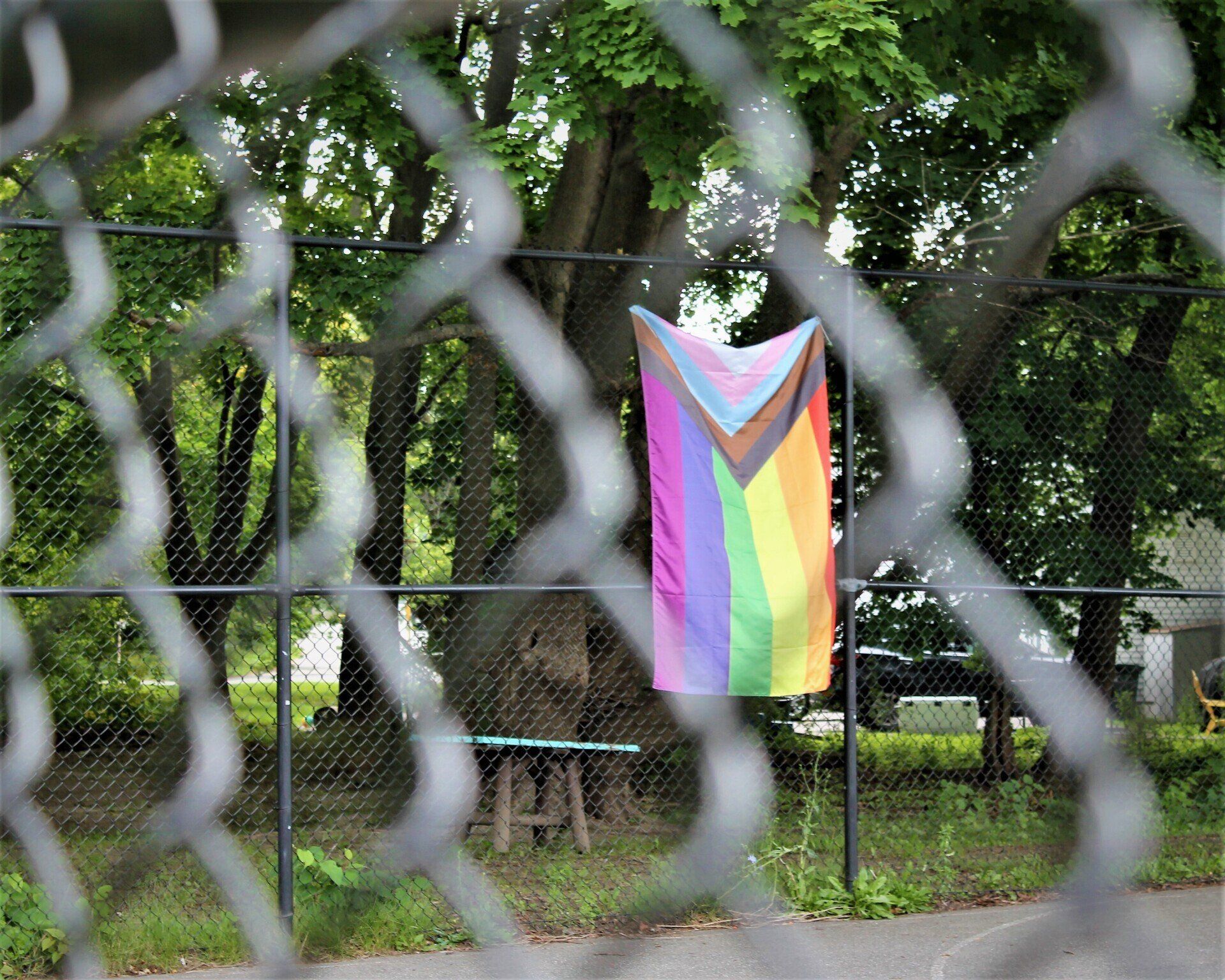 2022 Art Show Winner - Pride