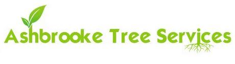 Ashbrooke Tree Services & Landscape Gardeners logo