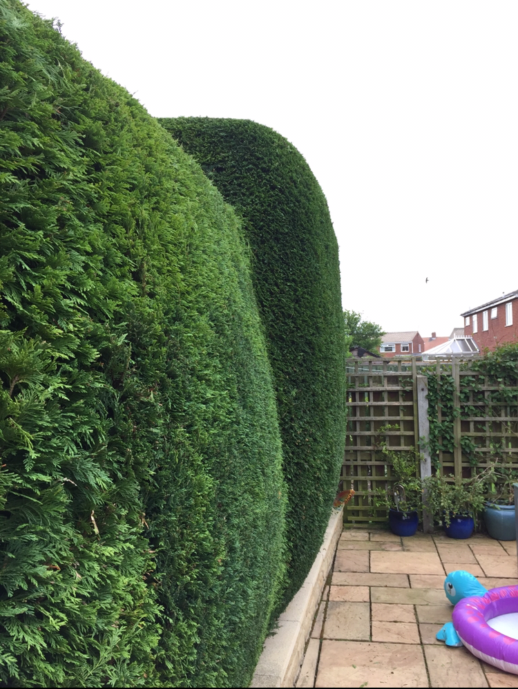 We can help you keep your garden in good condition