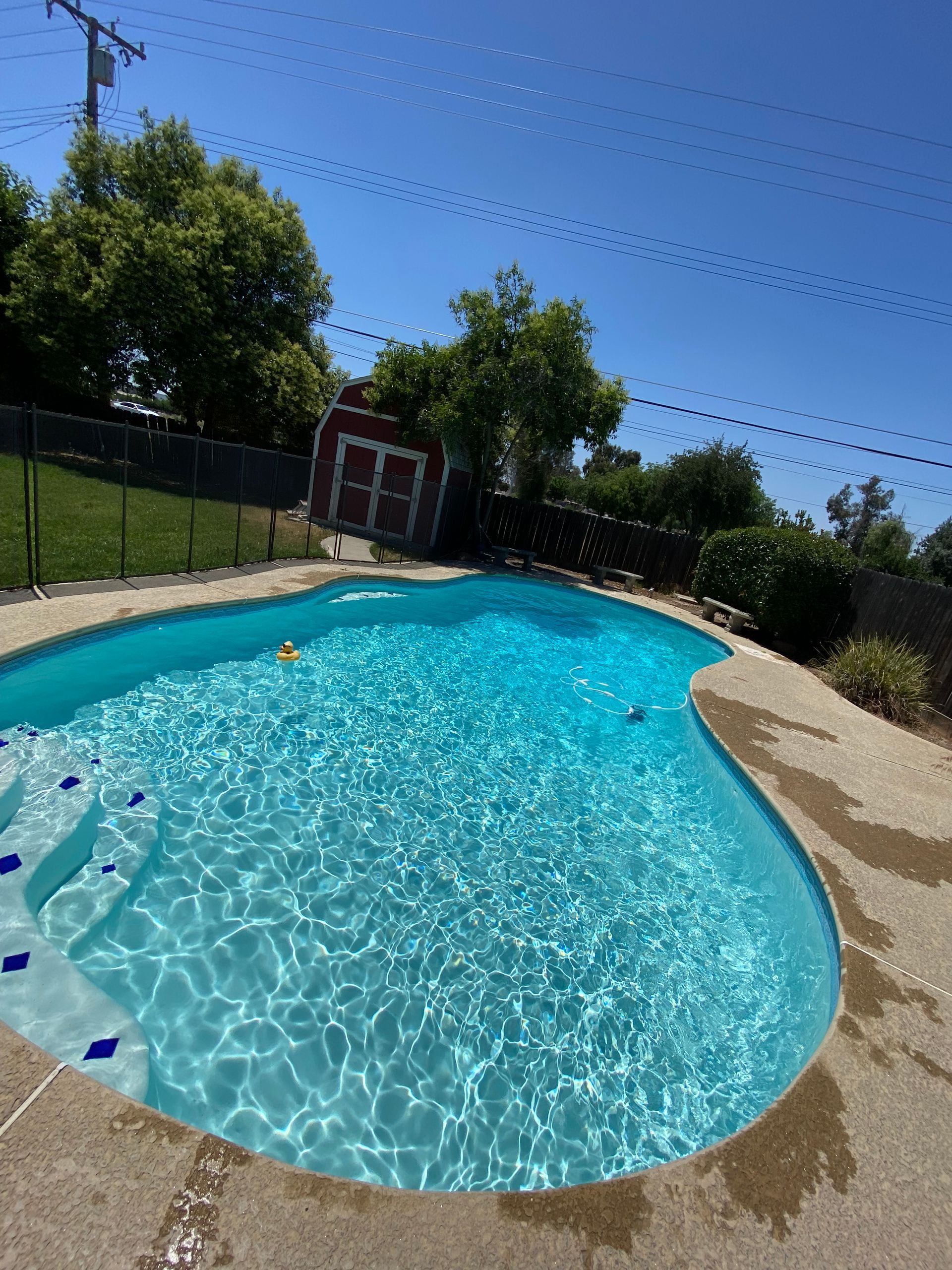 A large swimming pool is surrounded by a fence and trees