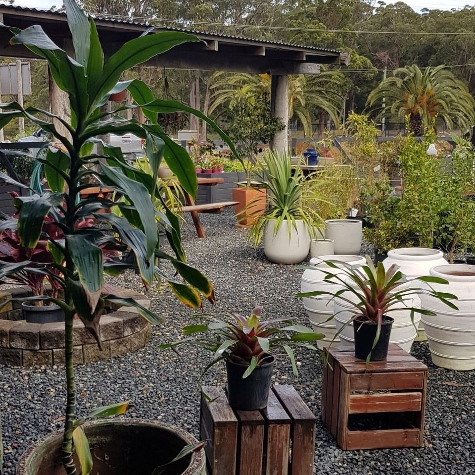 Palms Landscape Shopfront —  About Us in Pacific Palms, NSW