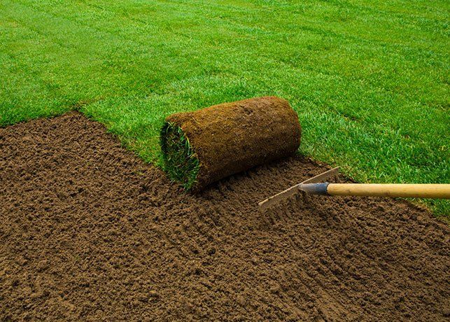 Preparing Ground for Turf — Landscaping Supplies in Pacific Palms, NSW Preparing Ground for Turf — Landscaping Supplies in Pacific Palms, NSW