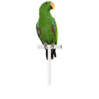 Monali Media logo