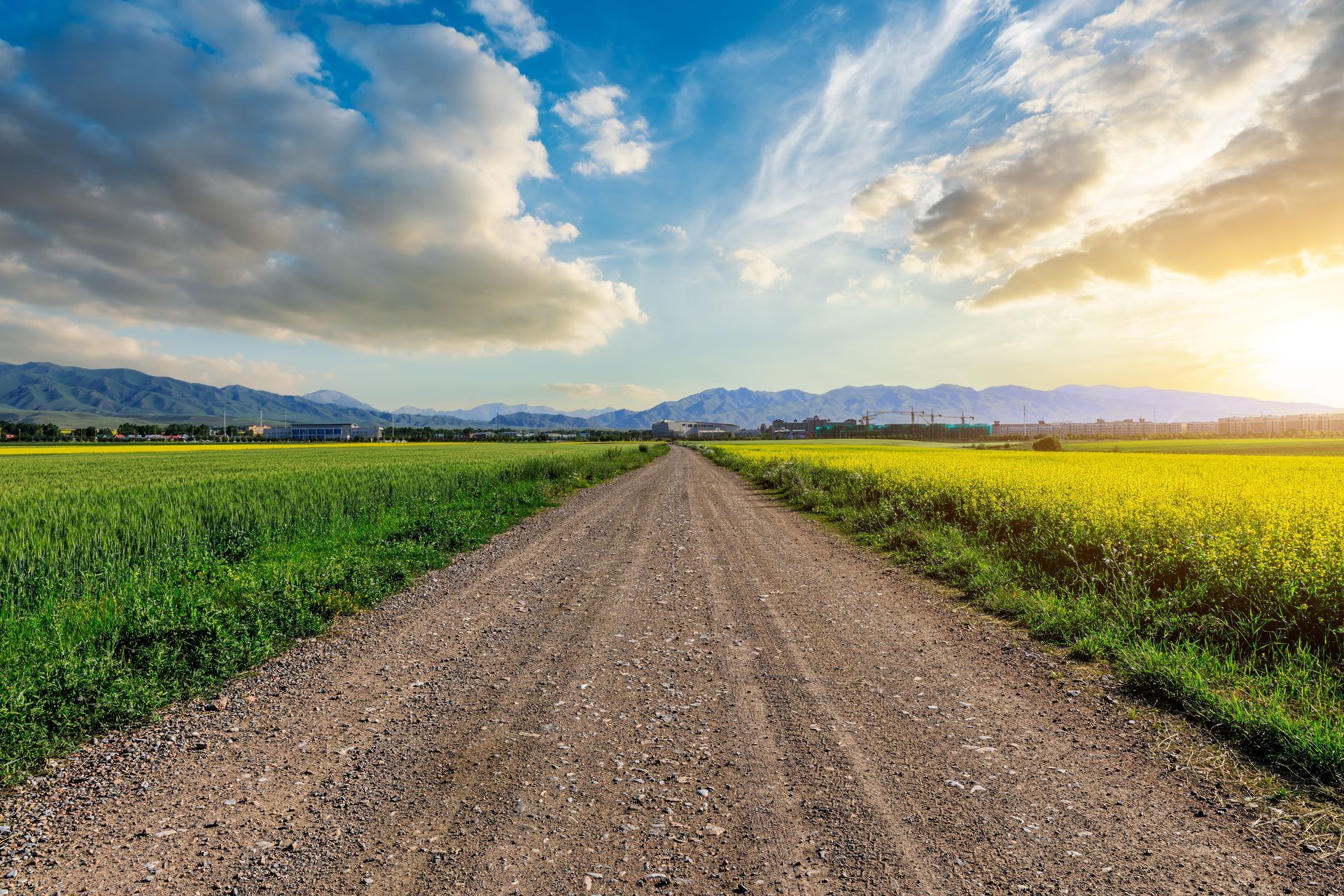 A dirt road going through a field with mountains in the background.