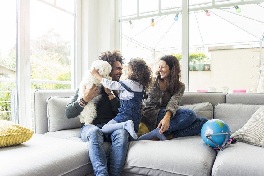 Family pet