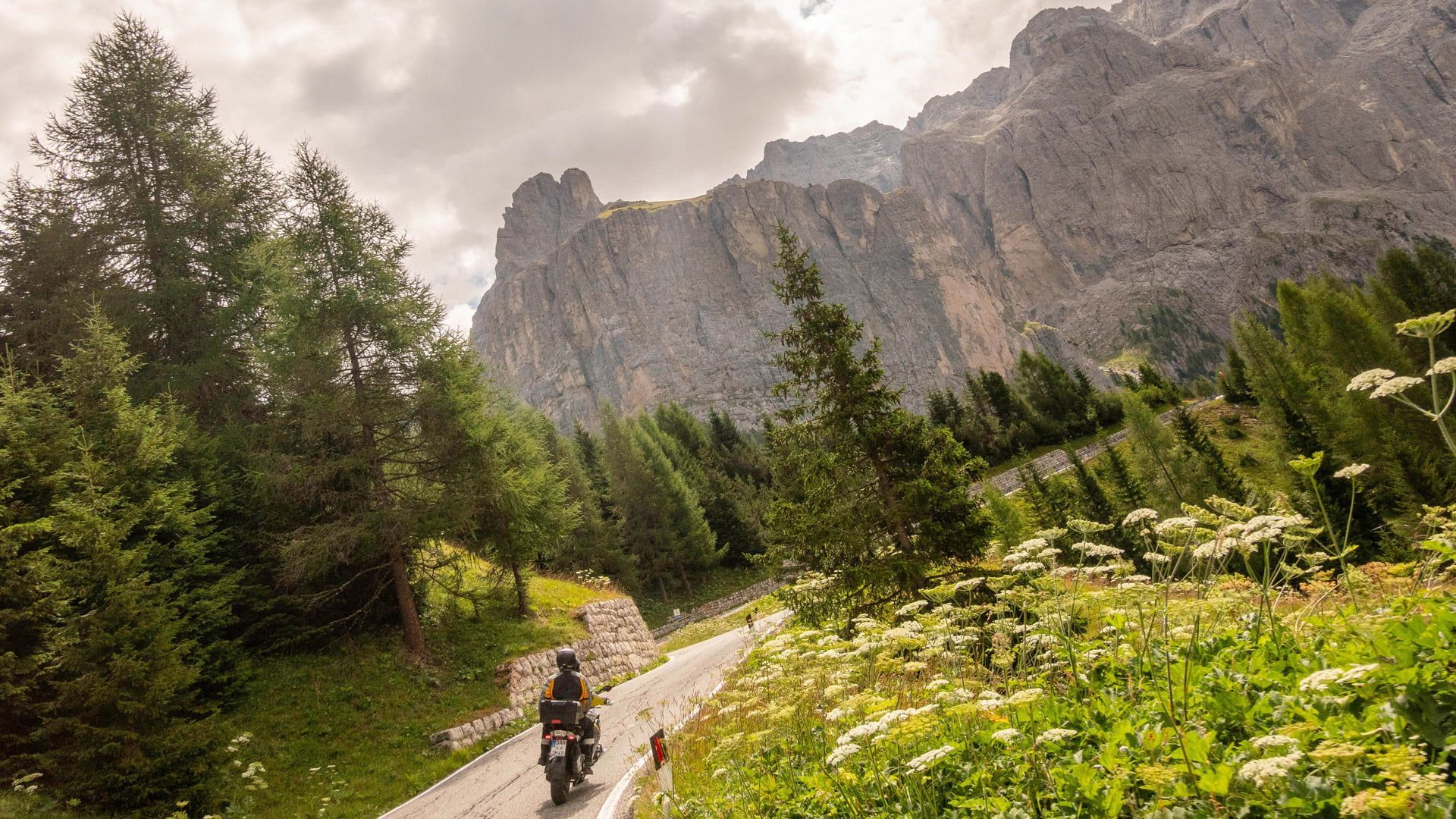 Motorcyclist on a winding mountain road beside wildflowers and pine trees, with towering rocky peaks ahead